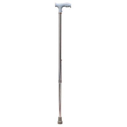 Picture of WALKING STICK (2) FOLD FS929