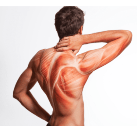 Picture for category SKELETAL MUSCLE RELAXANTS