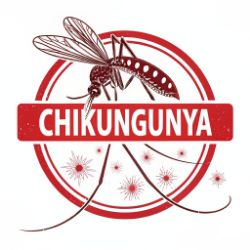 Chikungunya